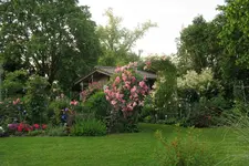 Juli         0323.webp