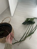 IMG_7092.jpeg