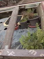 HPIM4425[1].webp
