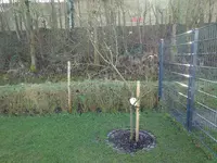 20240213_112102.webp