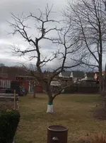 HPIM4429[1].webp