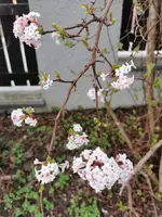 IMG_20240212_162759.webp