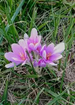 IMG_20171001_165017447.webp