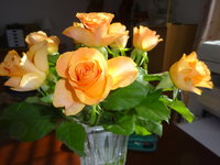 DSC03289.JPG