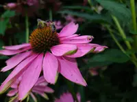 IMG_20230829_130348.webp