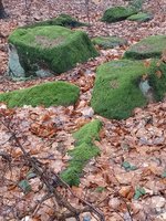 IMG_20240208_102853.jpg