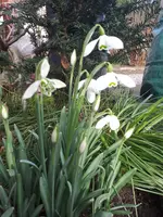 20240216_100946.webp