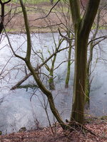 P1030380Wupper.JPG