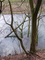 P1030380Wupper.webp