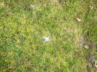 DSC03294.JPG