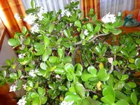 DSC03291.webp
