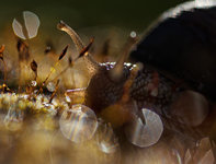 0M3A8154_2.jpg