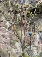 PXL_20240216_103742288.jpg PXL_20240216_103742288.jpg