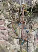 PXL_20240216_103742288.webp PXL_20240216_103742288.webp