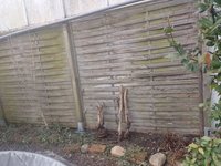 IMG_20240217_134547.jpg