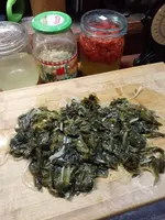 IMG_20240213_191323.webp