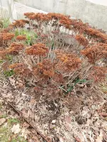 20240218_122542.webp