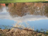 CIMG4579.webp