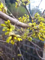 20240217_131754.webp