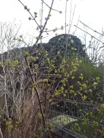 20240217_131803.webp