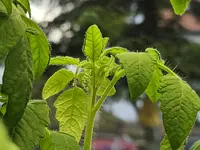 20240221_164244.webp