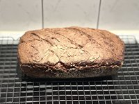 IMG_2552.jpeg