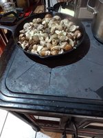 IMG_20240221_184116.jpg