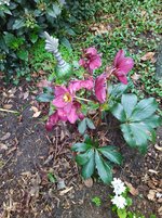 IMG_20240219_093244.jpg