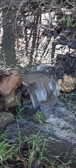 20240223_164741.webp 20240223_164741.webp