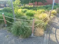 IMG20230621180428.webp
