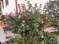 IMG_20230925_183523.webp