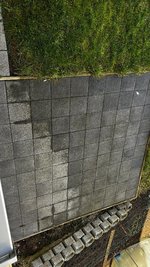 IMG_9139.jpeg