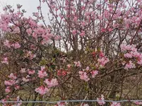 IMG_20240224_164605.webp