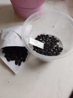 IMG_20240223_143504.jpg