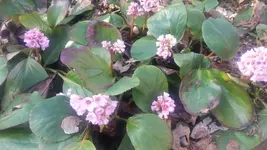 20240224_131223.webp