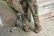 Mai2110.webp