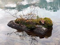 20190922_122339(1).jpg