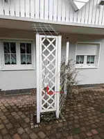 _Bild_1.jpg _Bild_1.jpg