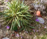 IMG_E1579.webp