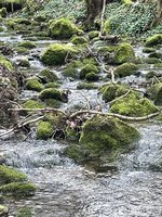 IMG_1980.jpeg