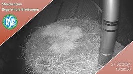 IMG_1418.jpeg