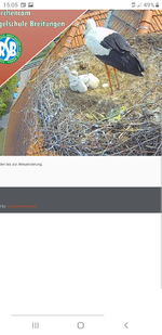 Screenshot_20230518-150531_Samsung Internet.webp