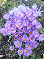 20240225_114454.webp