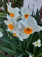 20220418_142302.webp