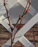 _Bild7_Detail_Unten.jpg