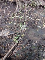 IMG_20240227_130050.jpg
