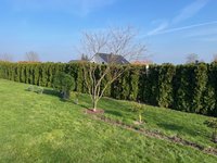 garten-8.jpg
