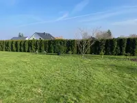 garten-6.jpg