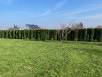 garten-6.jpg