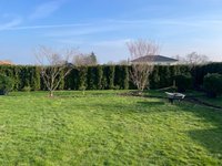 garten-5.jpg